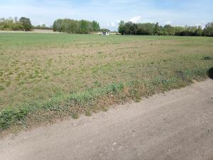 Prodej pole, Brandýs nad Labem-Stará Boleslav, 250000 m2