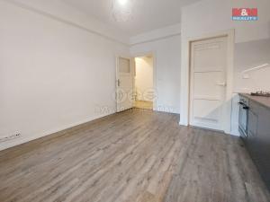 Prodej bytu 2+kk, Praha - Žižkov, Biskupcova, 44 m2