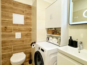 Pronájem bytu 1+kk, Brno, Koliště, 26 m2