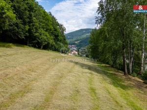 Prodej pozemku pro bydlení, Jeseník, Thámova, 1246 m2