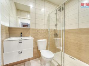 Prodej rodinného domu, Chotěšov, Starý mlýn, 353 m2