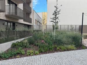 Pronájem bytu 1+kk, Brno, Bratislavská, 38 m2