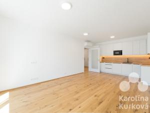 Pronájem bytu 4+kk, Praha - Nusle, Muzikova, 109 m2