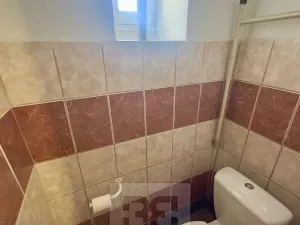 Pronájem rodinného domu, Cítoliby, B. Němcové, 115 m2
