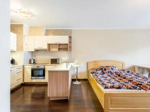 Pronájem bytu 2+kk, Olomouc, 56 m2