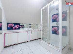 Prodej rodinného domu, Hroznětín, ČSA, 240 m2