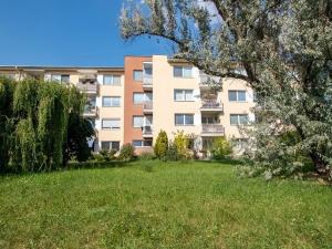 Pronájem bytu 1+kk, Poděbrady, Kozinova, 33 m2