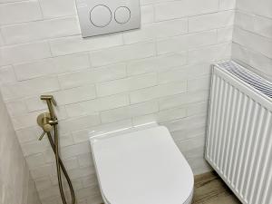 Pronájem bytu 1+kk, Březová nad Svitavou, 45 m2