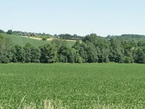 Prodej pozemku pro bydlení, Tučapy, 5481 m2