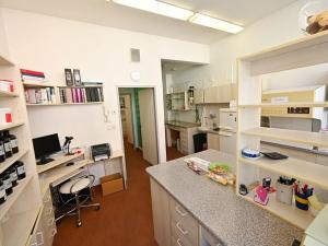 Pronájem obchodního prostoru, Praha - Nové Město, Panská, 116 m2