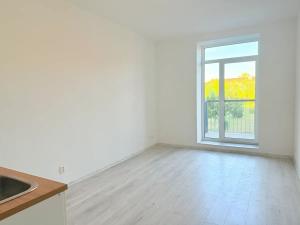 Pronájem bytu 1+kk, Milovice, Slepá, 23 m2