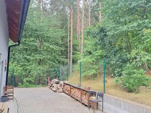 Pronájem rodinného domu, Drevníky, 90 m2