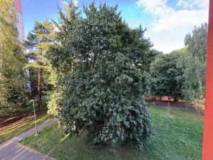 Prodej bytu 3+1, Ostrava, Lumírova, 67 m2