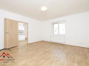 Pronájem bytu 1+1, Ostrava, Palackého, 45 m2