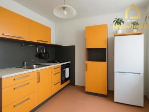Pronájem bytu 1+1, Ostrava, Petra Křičky, 40 m2