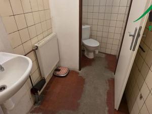 Pronájem výrobních prostor, Planá, 249 m2