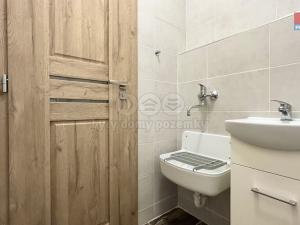 Pronájem obchodního prostoru, Sadská, Prokopova, 24 m2