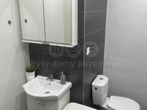 Pronájem bytu 1+kk, Plzeň, Krašovská, 30 m2