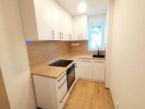 Pronájem bytu 2+1, Ostrava, U Nové školy, 40 m2