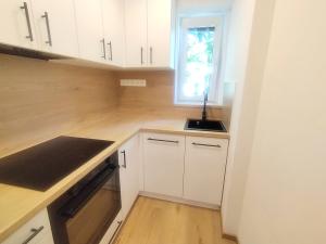 Pronájem bytu 2+1, Ostrava, U Nové školy, 40 m2