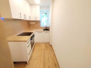 Pronájem bytu 2+1, Ostrava, U Nové školy, 40 m2