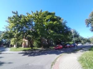 Pronájem bytu 2+1, Ostrava, U Nové školy, 40 m2