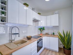 Pronájem bytu 2+1, Chomutov, Rokycanova, 49 m2