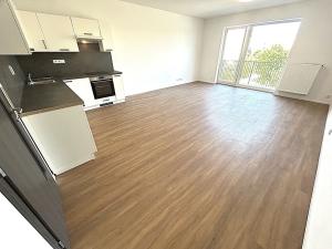Pronájem bytu 1+kk, Plzeň, Františka Kováříka, 47 m2