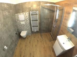 Pronájem bytu 1+kk, Plzeň, Františka Kováříka, 47 m2