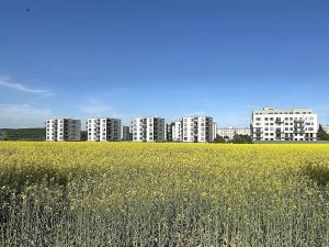 Pronájem bytu 1+kk, Plzeň, Františka Kováříka, 47 m2