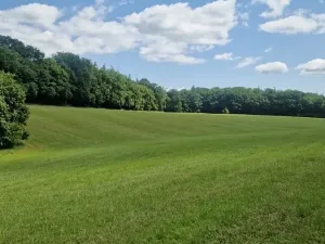 Prodej lesa, Bílá Lhota, 2912 m2