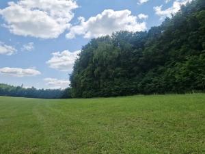 Prodej lesa, Bílá Lhota, 694 m2