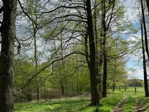 Prodej podílu pozemku, Stříbřec, 5449 m2