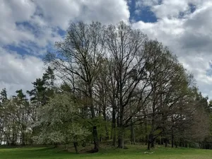 Prodej podílu pozemku, Stříbřec, 5449 m2