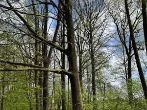 Prodej podílu pozemku, Stříbřec, 5449 m2