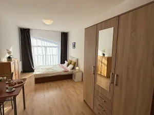 Pronájem bytu 1+kk, Plzeň, Nepomucká, 25 m2
