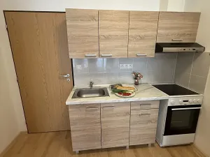 Pronájem bytu 1+kk, Plzeň, Nepomucká, 25 m2