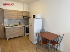 Pronájem bytu 1+kk, Plzeň, Nepomucká, 25 m2