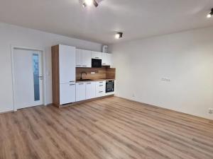 Pronájem bytu 1+kk, Plzeň, Studentská, 40 m2