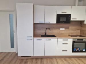 Pronájem bytu 1+kk, Plzeň, Studentská, 40 m2