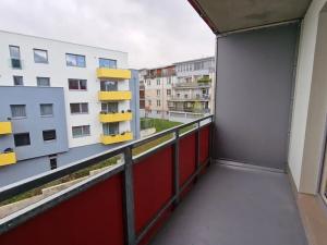 Pronájem bytu 1+kk, Plzeň, Studentská, 40 m2