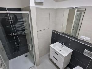 Pronájem bytu 1+kk, Plzeň, Studentská, 40 m2