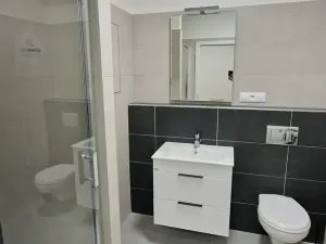 Pronájem bytu 1+kk, Plzeň, Studentská, 40 m2