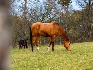Prodej pozemku pro bydlení, Praha - Modřany, Do Lipin, 22202 m2