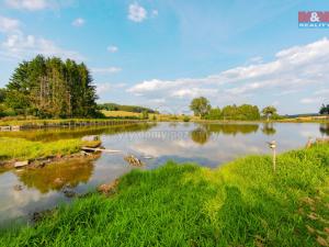 Prodej rybníku, Olbramov - Zádub, 6672 m2