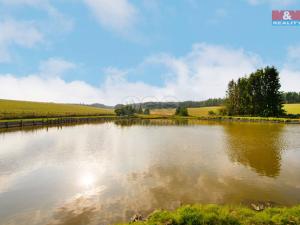 Prodej rybníku, Olbramov - Zádub, 6672 m2
