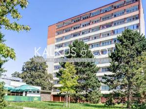 Prodej bytu 2+kk, Mladá Boleslav, Jičínská, 39 m2