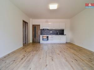 Pronájem bytu 2+kk, Ostrava - Hrabůvka, Hasičská, 54 m2