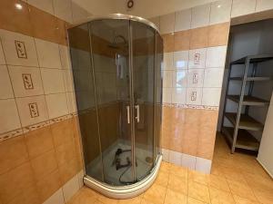Pronájem bytu 3+kk, Hradec Králové, Mánesova, 67 m2