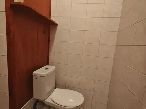 Pronájem bytu 2+1, Brno, Antonínská, 64 m2